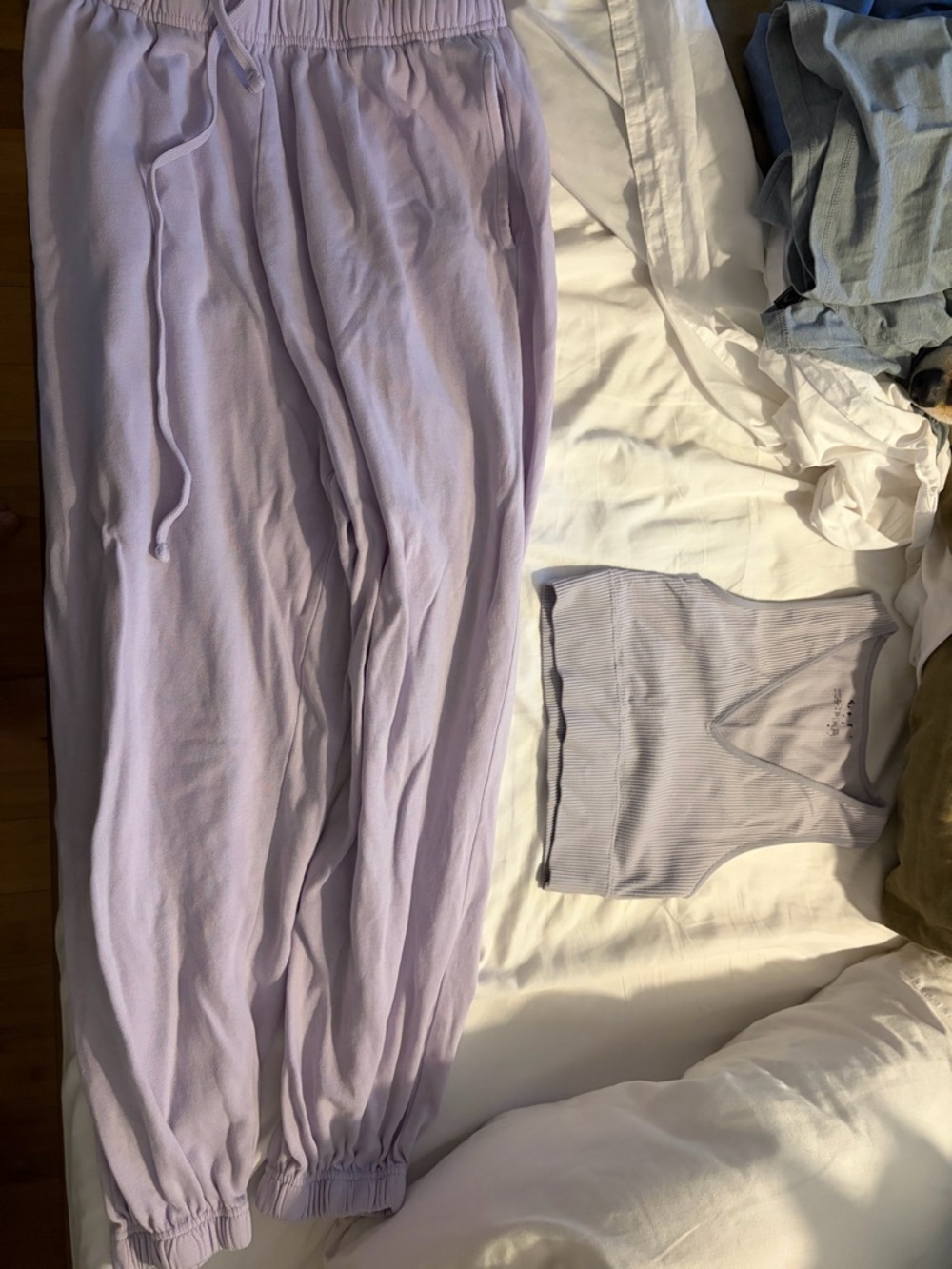 Garage Lavender Lounge Set - Light Purple Joggers & Crop Tank